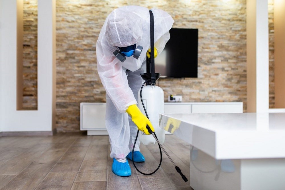 Pest control worker