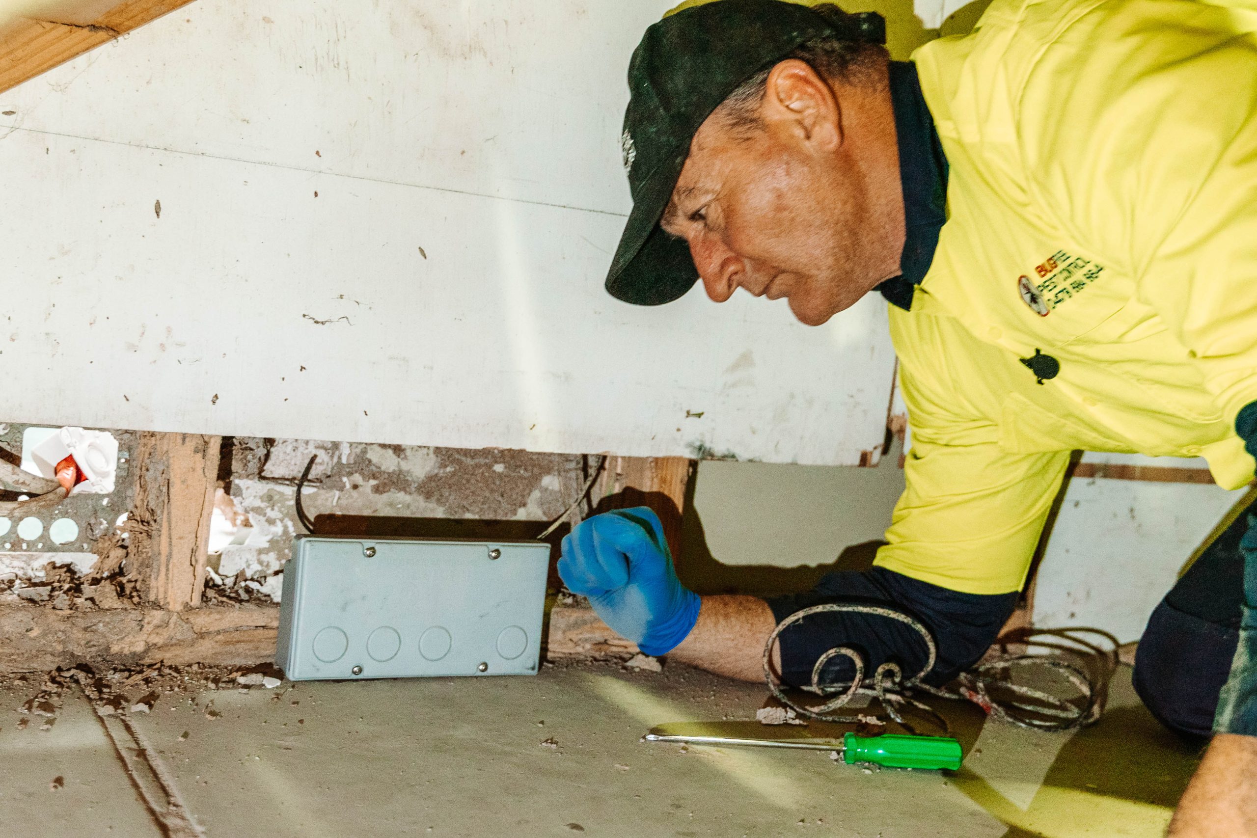 2) Baiting systems: in-ground and above-ground