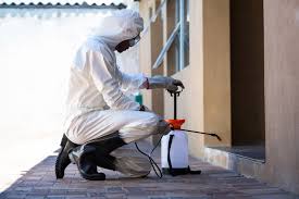 Pest Control Importance
