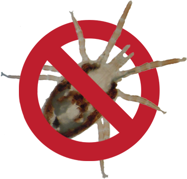 No-birdlice