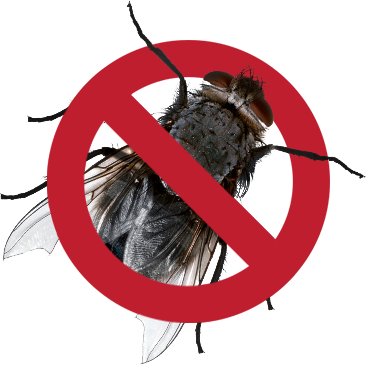 No-flies