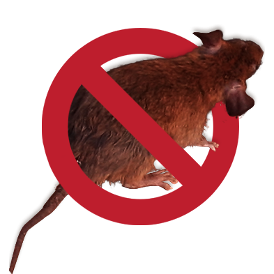 No-mouse