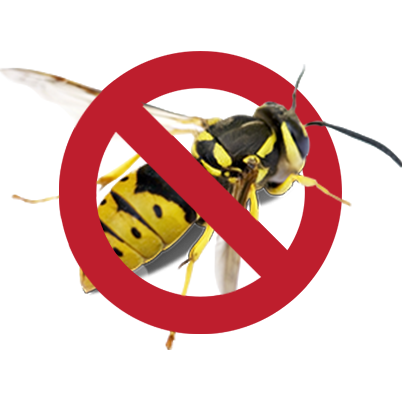 Pest control sydney