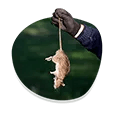 Long term services icon