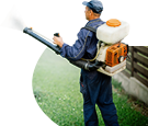 Termite Control Man