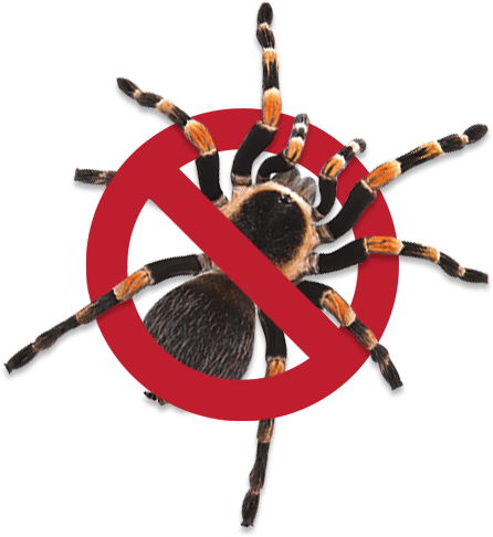 Pest Control sydney