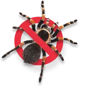 Pest Control Ryde