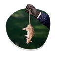 Long term services